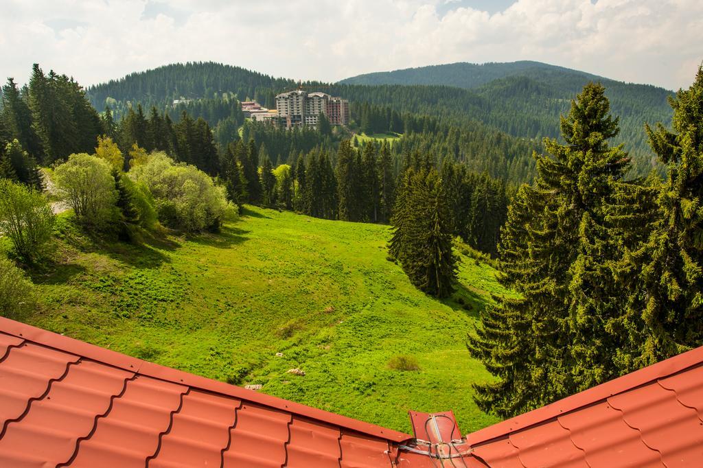 Snezhanka Hotel Pamporovo - Half board Exteriér fotografie